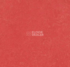 Линолеум Forbo Marmoleum Decibel on Order 326335 rose фото 1 | FLOORDEALER